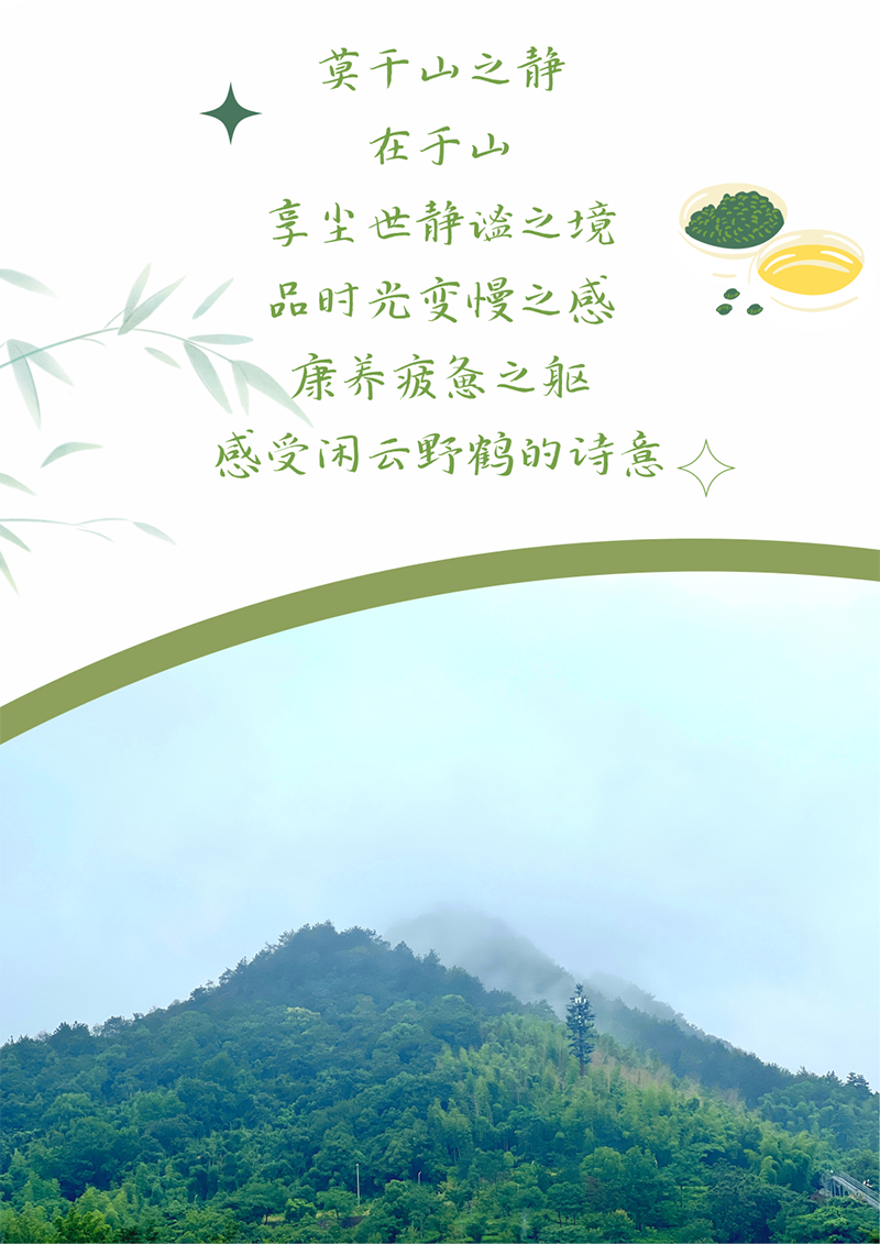 心心念廿 相伴尊龙凯时人生就博 | 与德清相约 贺廿载诞辰